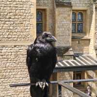 Tower of London, London