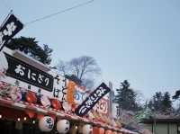 弘前公園櫻花季