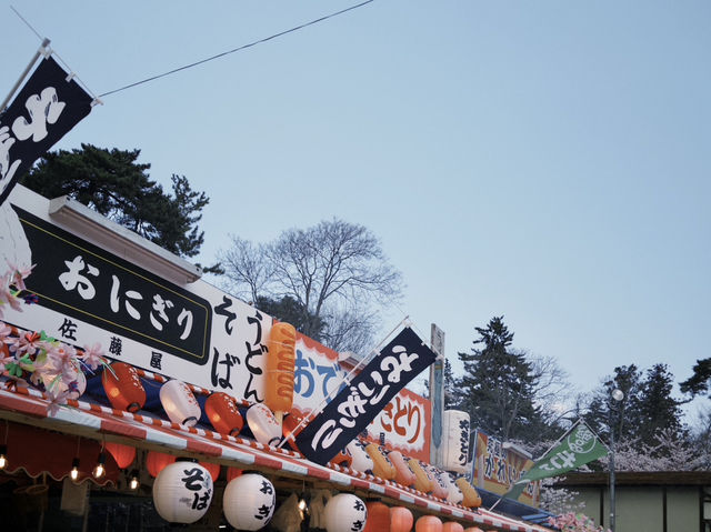弘前公園櫻花季
