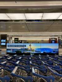 Jewel Changi Airport: The Only Airport That’ll Make You Miss Your Flight… ON PURPOSE. 