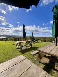 My Autumn Escape at Mountain Ridge Wines, NSW
