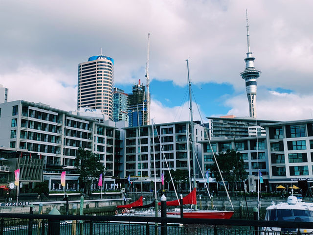 📍Auckland, New Zealand 🇳🇿 奧克蘭，一座可以讓你邊喝咖啡邊登火山、早上看港口帆船、晚上吃移動餐車的城市。✨