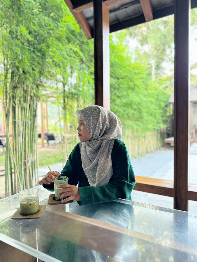 The Baristro Chiang Mai – A Minimalist’s Dream with a Matcha Twist 