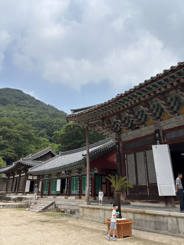 한적함 벗어나 여유를 느끼는 사찰 여행😆