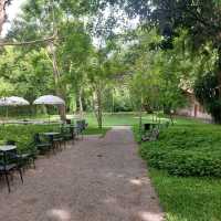 คาเฟ่โรงบ่ม เก๊าไม้ล้านนา เชียงใหม่