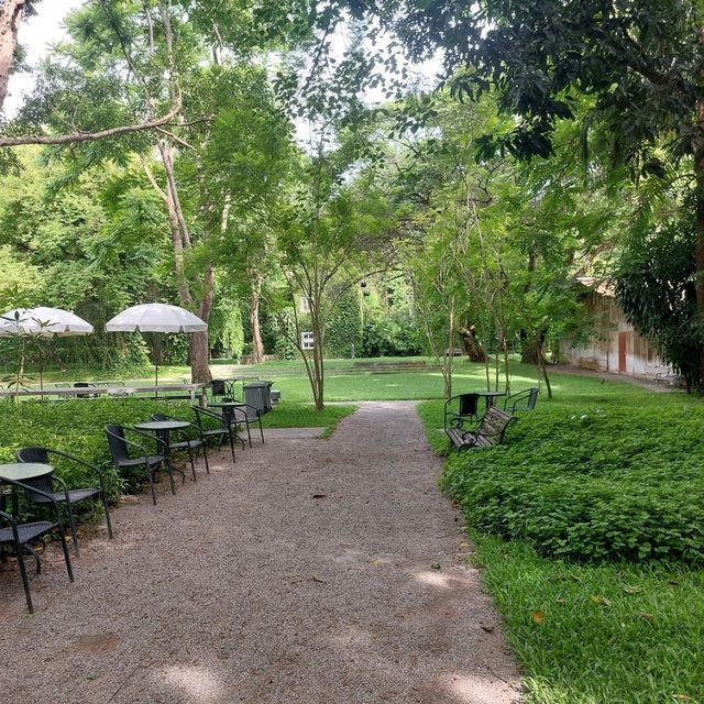 คาเฟ่โรงบ่ม เก๊าไม้ล้านนา เชียงใหม่