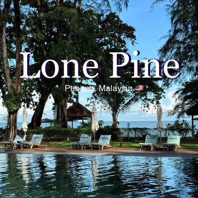 Penang | Lone Pine – A Summer Daydream Come True 🌴☀️🌧 