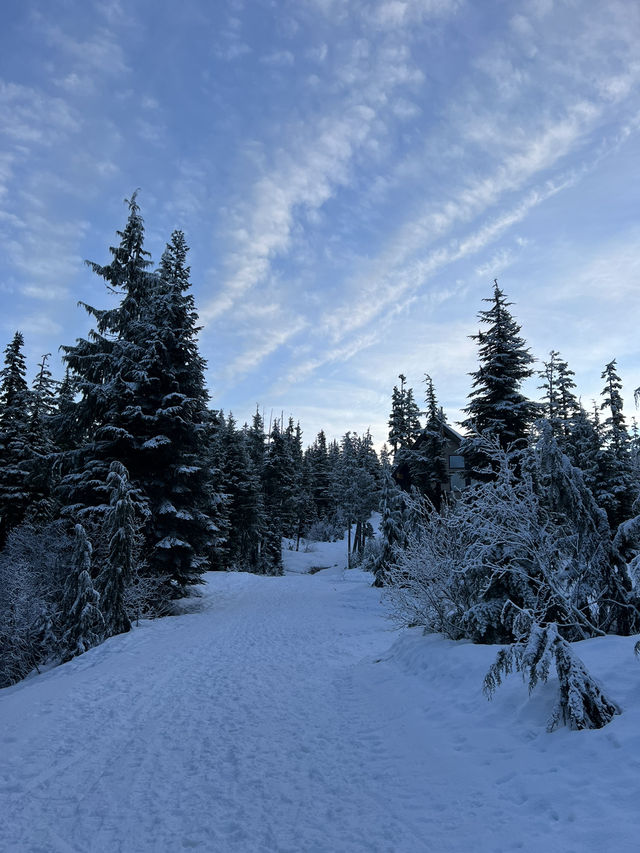 Canada - Vancouver, Vancouver Island, and some in Montreal. 
