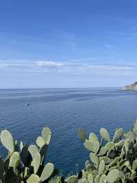 Travel Cinque Terre at a relatively cheap price