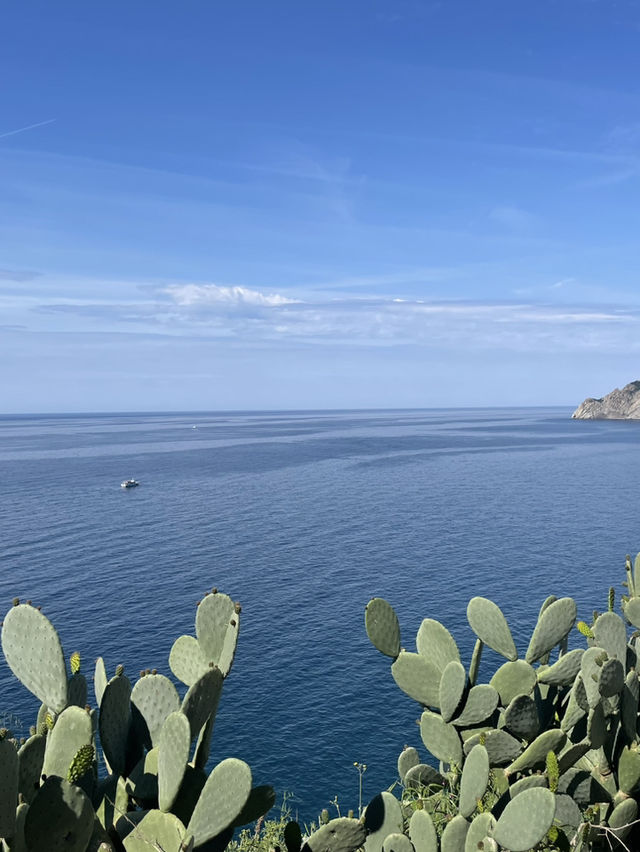 Travel Cinque Terre at a relatively cheap price