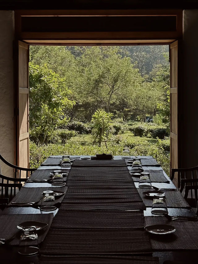 Araksa Tea Garden - Chiangmai Thailand 