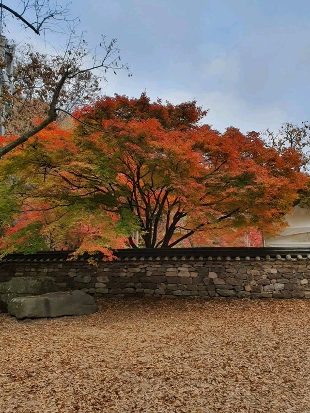 Leaf It to Naejangsan