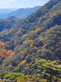 Leaf It to Naejangsan