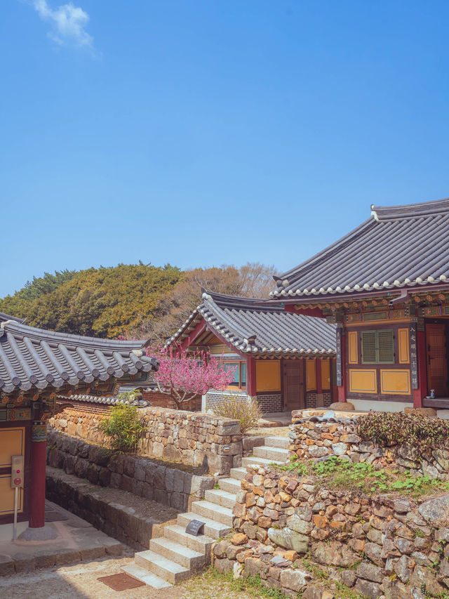 천상의 기운 달마산 품에 안긴 고즈넉한 사찰“미황사”