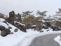 3月日本自由行 景点篇 鬼押出火山岩石公園