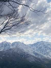 🎿 白馬岩岳スノーフィールド  360度の絶景 × 多彩なコース × 絶景テラスも☕️✨