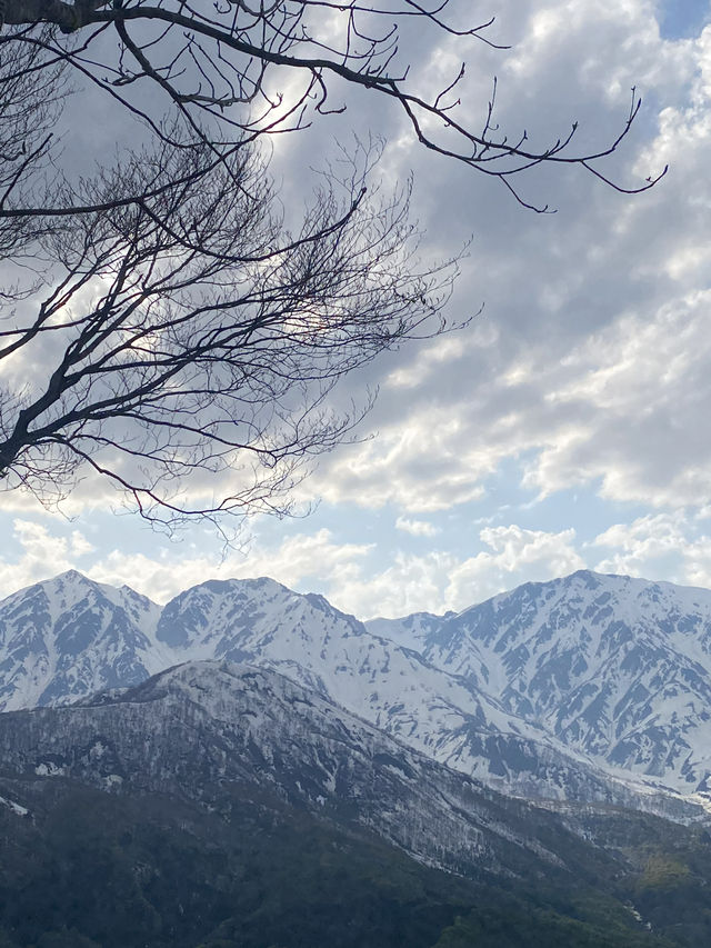 🎿 白馬岩岳スノーフィールド  360度の絶景 × 多彩なコース × 絶景テラスも☕️✨