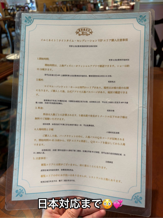 【上海ディズニー】イルミネイトを良い位置で鑑賞したい方へ