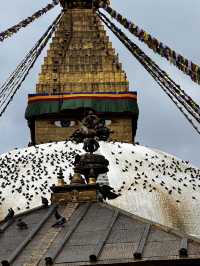 Buddha stupa vibrant center of Buddhism 