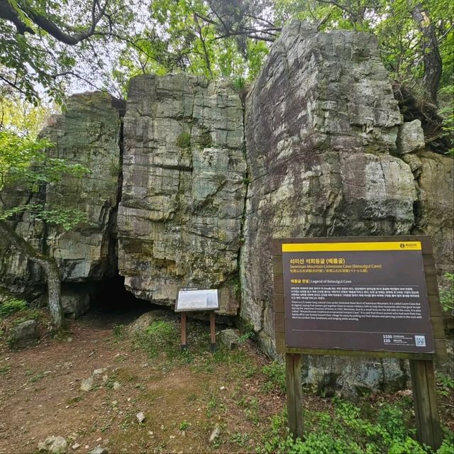 Soemisan Forest Trail