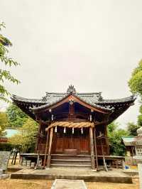 松山｜沒有湯婆婆的湯神社 與甜點職人必拜的中嶋神社