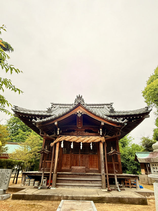 松山｜沒有湯婆婆的湯神社 與甜點職人必拜的中嶋神社