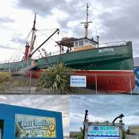 Bluff: New Zealand's Southernmost Town! 🌬️🚢