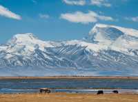 EBC (MT.Qomolangma base camp) 