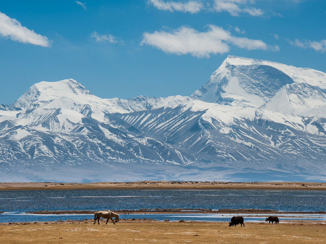 EBC (MT.Qomolangma base camp) 