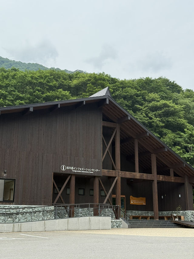  🏔️谷川岳インフォメーションセンターで自然と学びの時間を