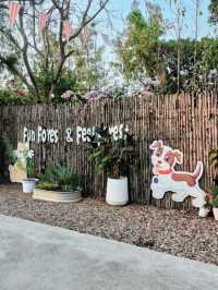 Little forest and a big river |อยุธยา