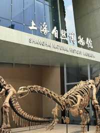 Shanghai Natural History Museum – A Spiraling Tapestry of Life and Architecture  