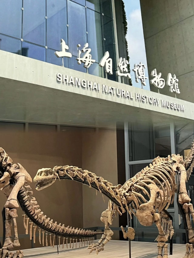 Shanghai Natural History Museum – A Spiraling Tapestry of Life and Architecture  