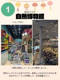 🇨🇳超巨大！自然博物館へ