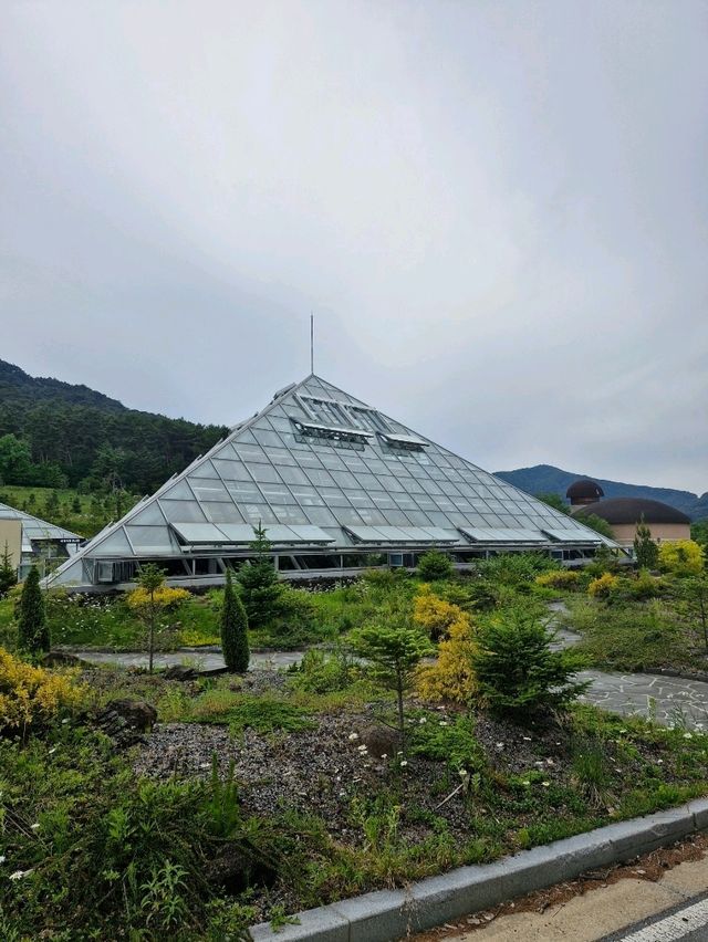 고산 지대 식물들이 전시되어 있는 알파인하우스🏡