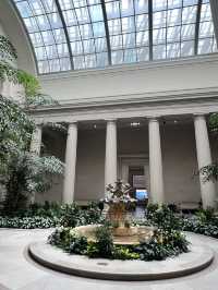 Exploring the National Gallery of Art: A Day of Art, Architecture, and Awe