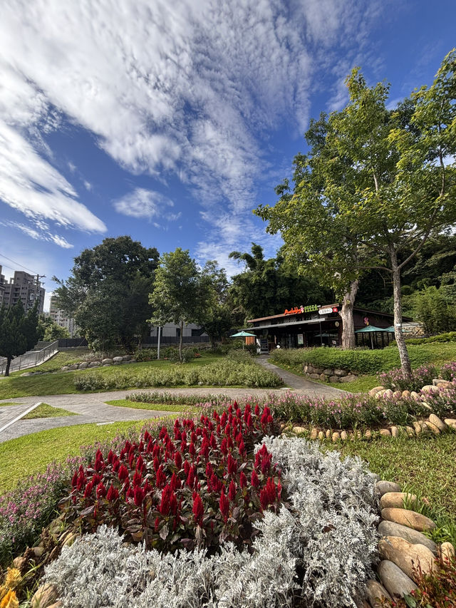 🍃 桃園大有梯田公園簡介