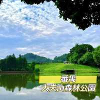 輕鬆遊玩番禺人氣景點＋掃街食好嘢 😎