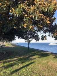 🫧布里斯班最愛看日落點 | Shorncliffe