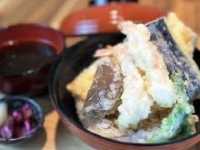 鳥取美食趣 串天ぷら・おさかな　モリノスケ