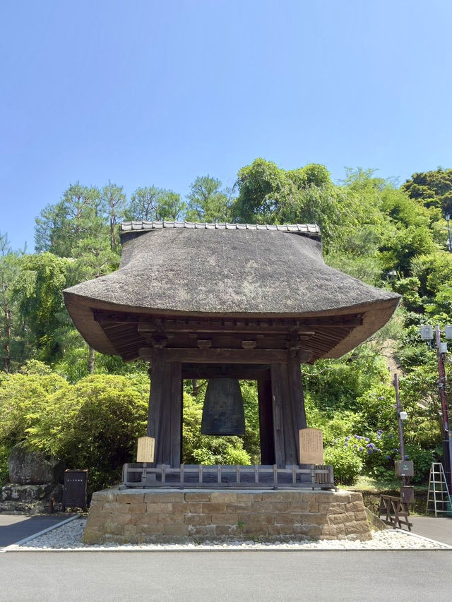 Summer Escape to Kamakura: Ancient Temples, Ocean Breezes & Hydrangea Magic