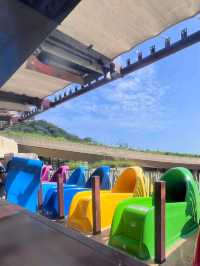 💦🌴 Dive into the Fun! | Ocean Park Water World Hong Kong 🇭🇰☀️