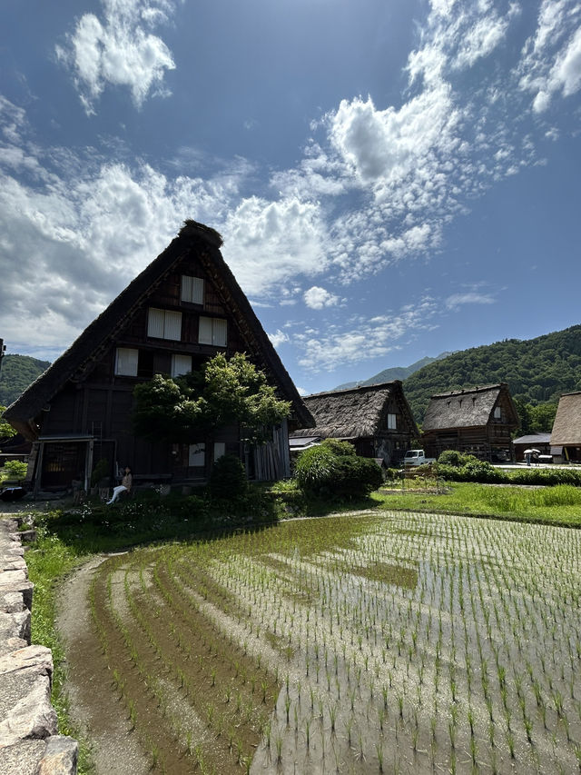 Day Trip from Nagoya: Shirakawa-go and Takayama