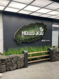 제주도 비오면 어떻게 놀지?🏝️