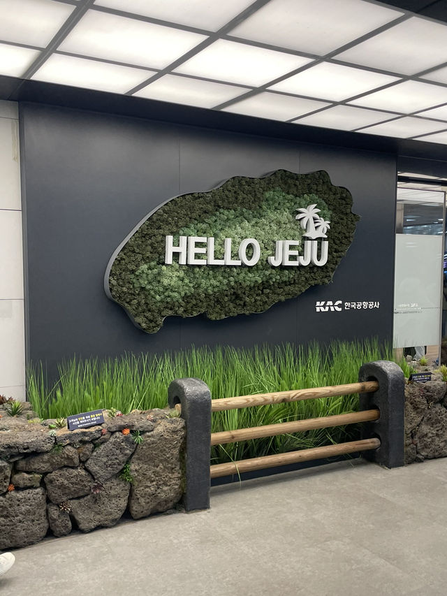 제주도 비오면 어떻게 놀지?🏝️