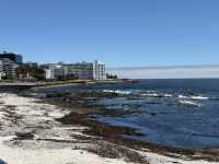 How to spend 7 days in Cape Town