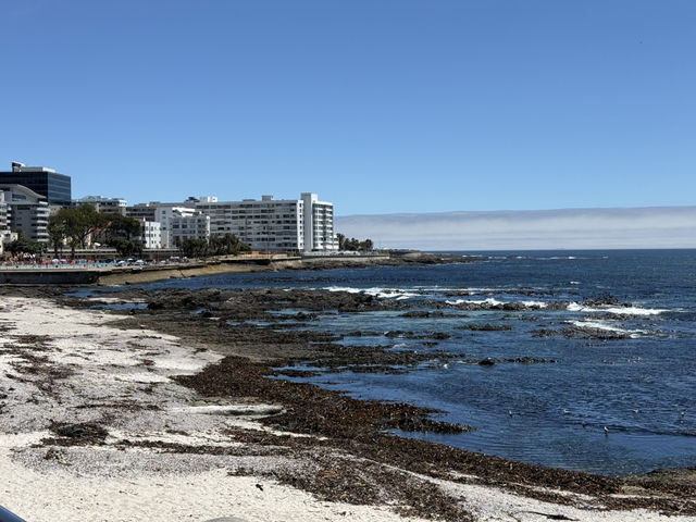How to spend 7 days in Cape Town