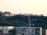세틀 글로컬 호텔 이토시마 싱글룸