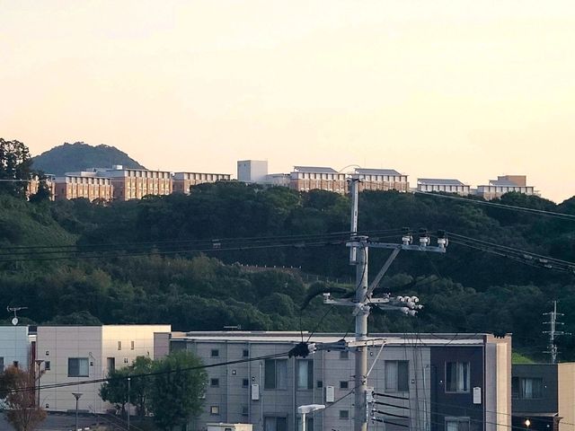 세틀 글로컬 호텔 이토시마 싱글룸