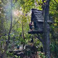 Enchanting Moments at Queenstown Kiwi Park